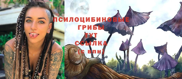 дурь Армянск