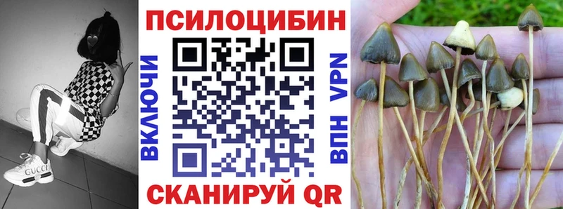 ссылка на мегу сайт  Краснотурьинск  Галлюциногенные грибы Psilocybine cubensis 